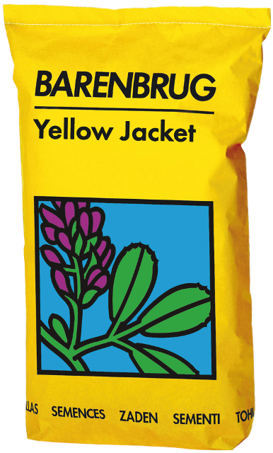 worek lucerna_YelowJacket.png